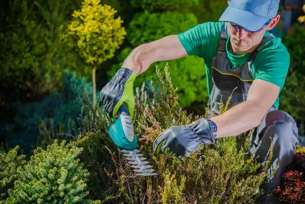 landscaping services Ozark